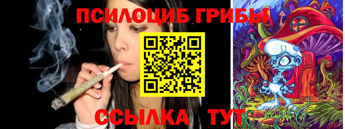 Псилоцибиновые грибы прущие грибы Георгиевск