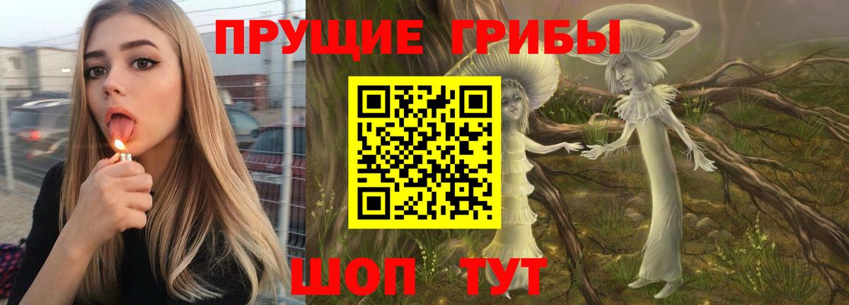 Георгиевск  Галлюциногенные грибы Psilocybine cubensis  Вход с VPN  Псилоцибиновые грибы Cubensis 